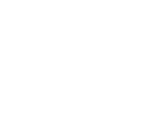 DS Cars